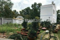 Bán đất tặng nhà hẻm 301 vườn lài 12 5x43