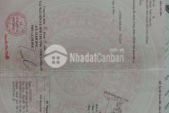 Nhà đất ở full thổ 399m2 xã long sơn cần đước la