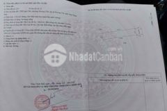 2 lô quê chữ hương chữ 125m2 ngang 5m