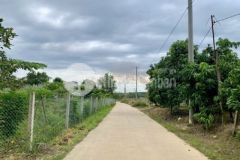 Cần bán 1500m2 đất sào có 330m2 thổ cư xã phú ngọc
