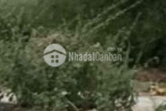 Bán chia tài sản giá còn thương lượng