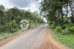 Đất lộc thịnh mt đường nhựa liên xã 24m thổ cư