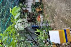 Cần bán đất hẻm 52 đường trần thị điệu ường 61