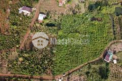 Chính chủ để sỉ lại 10 lô có thổ cư tại buôn hồ