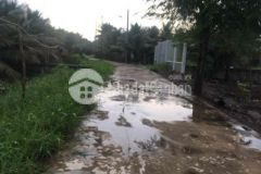 1công vườn ấp bình phong tân mỹ chánh mỹ tho tg