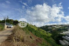 Giam gia ban gâp đât xuân tho view đep đương ô tô