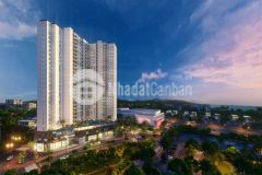 Căn hộ sân vườn view biển quy nhơn 1,7 tỷ 2pn