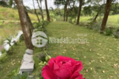 Đón sóng cao tốc ngay nút giao cao tốc hòa bình mộc châu