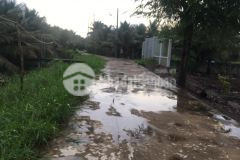 1công vườn ấp bình phong,tân mỹ chánh,mỹ tho,tiền giang