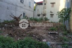 Đất lạc thị, ngọc hồi 50m2 mt4m, ngõ thông ô tô vào nhà 2 tỷ.