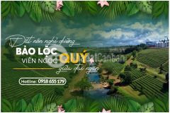 Bán đất bảo lộc sổ đỏ sang tên ngay,full thổ cư