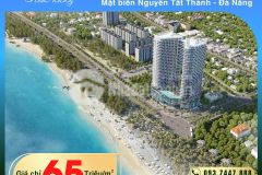 Chỉ ra 1 căn duy nhất giá đầu tư shizen nami