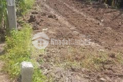 Bán nền giá rẻ tại xã đông thắng, huyện cờ đỏ, tp. cần thơ