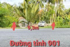 Bán 20 800m2 đất vườn 2 mặt tiền tỉnh lộ 901