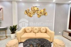 Bán nhà phố lạc trung hai bà trưng 70m2 6pn ô tô