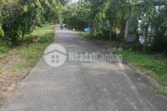 Bán lô đất góc 2mt nhựa gốc rưng xã an nhơn tây củ