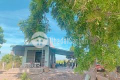 3 mẫu bình an bắc bình có sẵn nhà giá cực rẻ