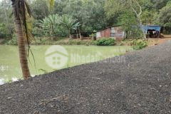 Chú ruột cần bán gấp 4800m2 đất vườn có ao cá