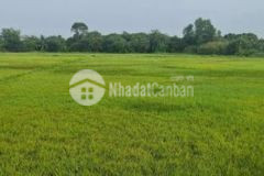 Đất 2 mặt tiền 7952m² tlt củ chi