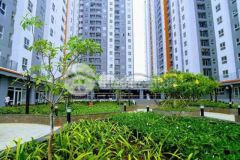 Căn hộ samsora 1 phòng ngủ đã có sổ