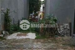 Đất đấu giá kdt kiến hưng đã có sổ