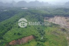 Bán 20ha đất rừng sản xuất lương sơn hòa bình