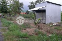 Bán đất mặt tiền huyện lộ 31b