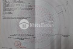 Đất mt dt 748 định hiệp ngay ngã 3 giáng hương