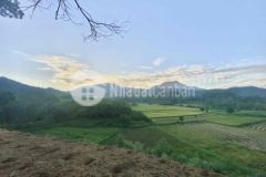 4048m2 đất ba vì sổ đỏ thích hợp làm homestay