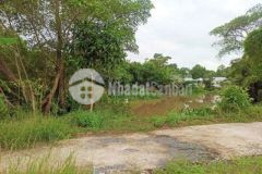 Nền 277m2 có thổ cư gần cầu giáo dẫn 91b