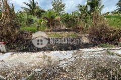 Nền 50m2 thổ cư tặng gpxd gần đền hùng stella