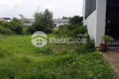 Dt 5x20 sát kcn đường nhựa 7m thông tứ hướng