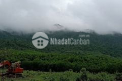 Bán nhà vườn trung tâm tp gia nghĩa đaknông