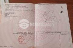 Tôi cần bán 125m2 tại đức hòa thượng long an