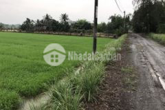 Bán 2002m2 đất lúa xã tân nhựt huyện bình chánh