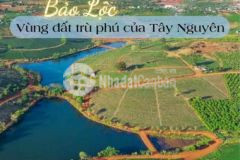 Bán đất 2 mặt tiền lý thái tổ xã damri bảo lộc