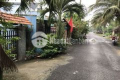 Bán 192m2 thổ cư và nhà xã tân nhựt bình chánh