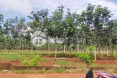 Đất sổ hồng riêng tôi cần bán về quê