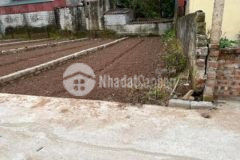 Bán đát cổ châu nam phong phú xuyên hà nôi