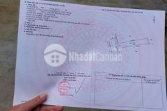 Mặt tiền đường nhựa ấp 8 nhựt chánh bến lức
