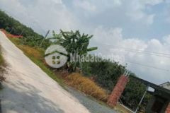 Gần kđt phúc hưng nhánh đường số 8 chỉ 780triệu