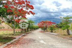 Đất biệt tp nha trang chỉ 13 5trm2