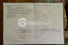 Nền biệt thự hũu định châu thành bến tre 883 m2