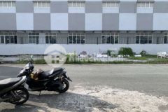 Nền d3 hồng loan sau bv nam cần thơ