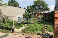 Đất xuân thới đông hóc môn 150m2 giá 1ty350