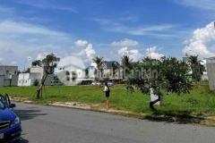 Tôi cần bán lô đất mặt tiền đường đinh đức thiện