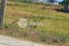 Kiệt oto hoà quý 107m giá 1ty3