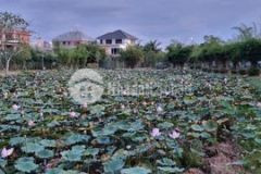 Biệt thự cao cấp bến cát