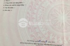 960 triệu đất kiến phong đồng thái an dương