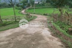 Cần bán 1000m có 700m ont tại tân lạc giá rẻ